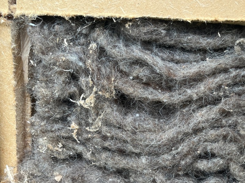 Die Schafwoll-Dämmung trocknete nach den Hochwasser und musste nicht ausgebaut werden